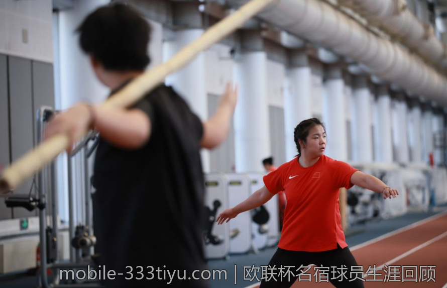 欧联杯名宿球员生涯回顾