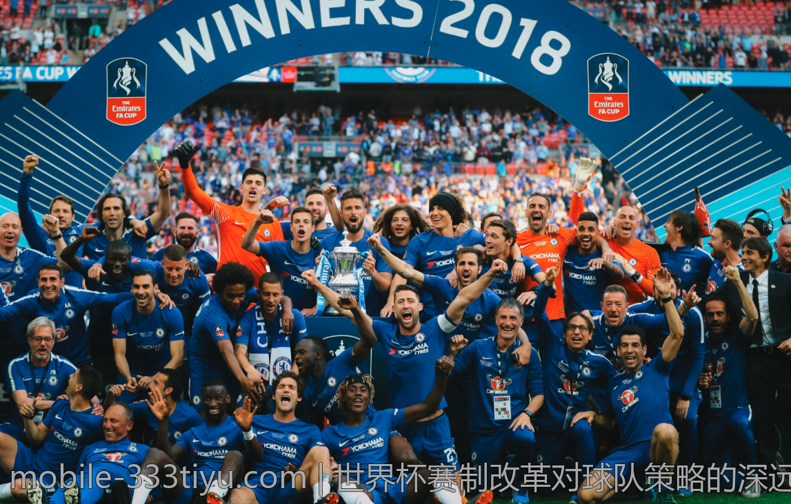 333体育平台让运动更加多彩